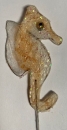 Krepp-Seepferdchen weiss-sand
